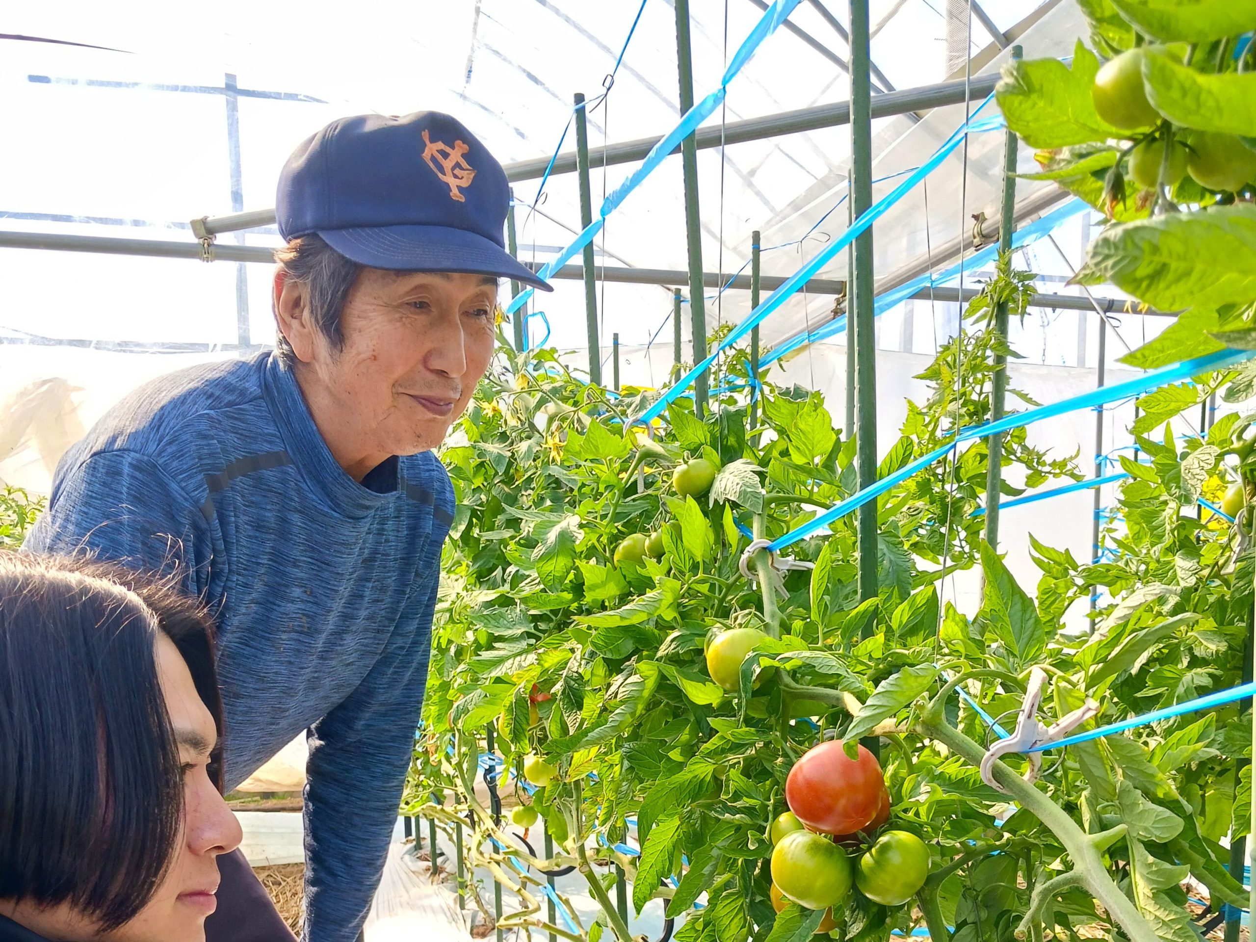 前田農園 | 熊青西九州青果株式会社