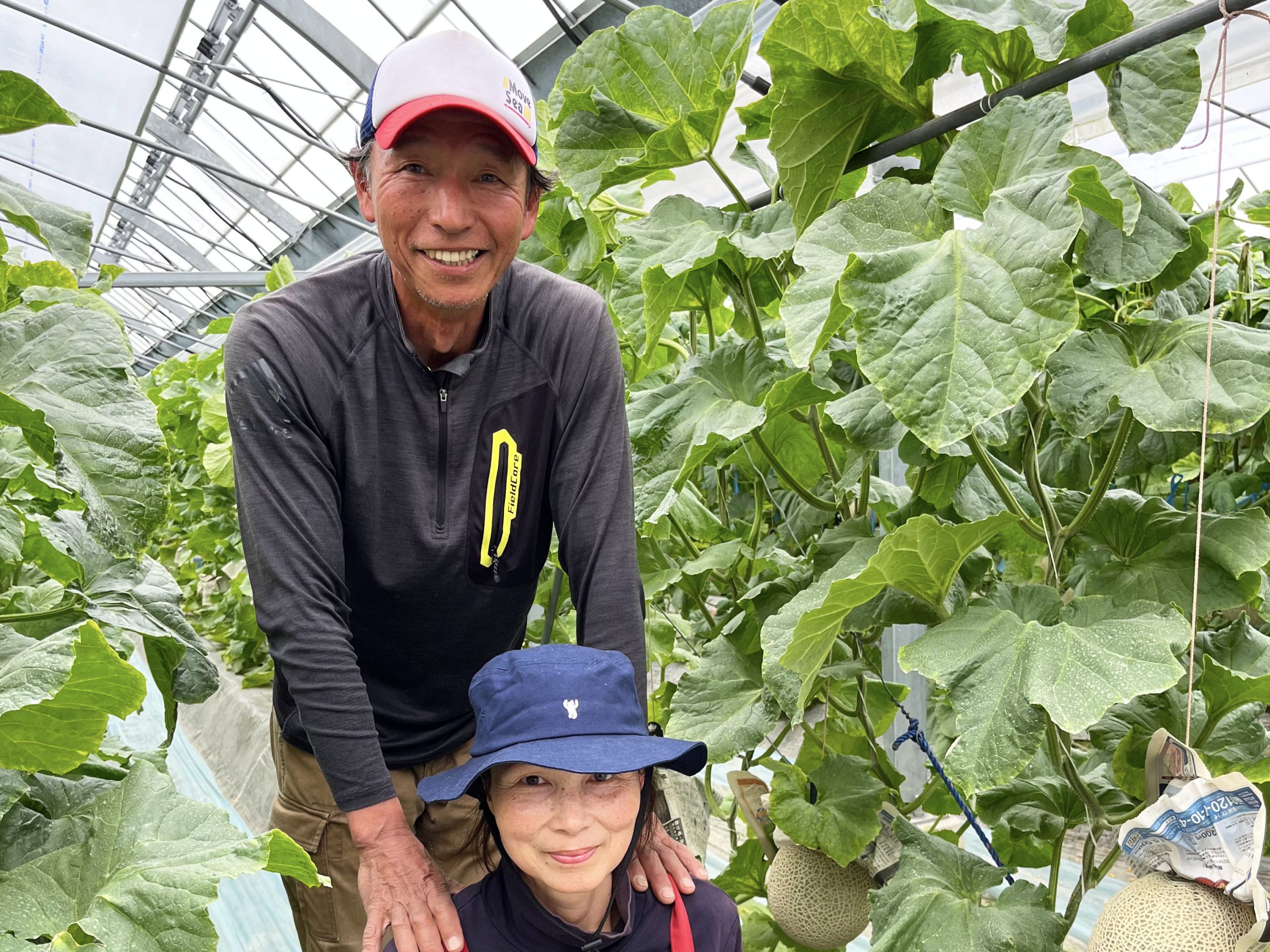 小山農園 | 熊青西九州青果株式会社